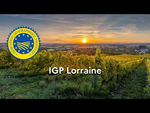 Viticulture : la dénomination &quot;Lorraine&quot; enregistrée en Indication géographique protégée (IGP)