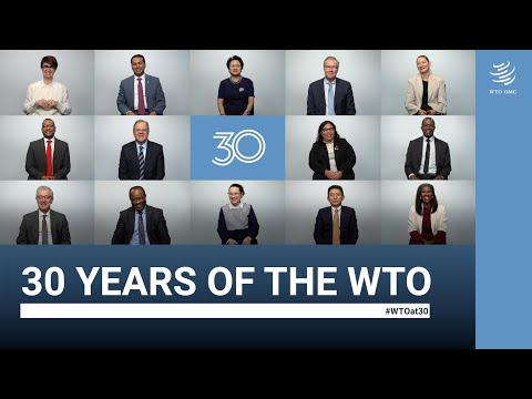 30 years of the WTO