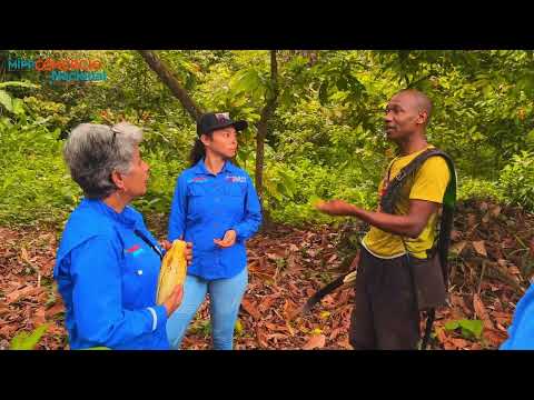 Cuyagua es cuna de hombres y mujeres productores de cacao