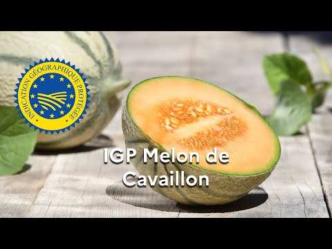 La dénomination &quot;Melon de Cavaillon&quot; enregistrée en IGP