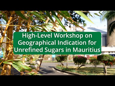 High Level Workshop on Geographical Indication for Unrefined Sugars in Mauritius