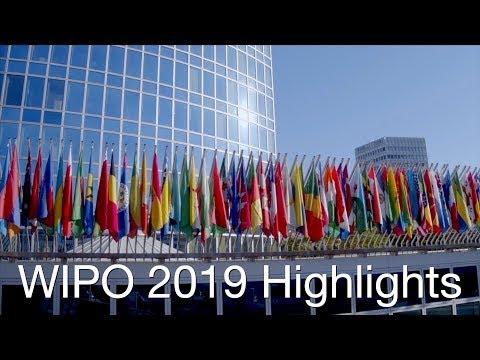 WIPO 2019: A Year in Highlights