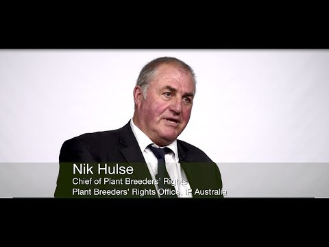 Nik Hulse, Chief of Plant Breeders&#039; Rights, IP Australia (English)