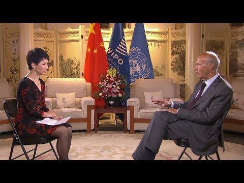 WIPO head: China&#039;s IP efforts a &#039;remarkable story&#039;