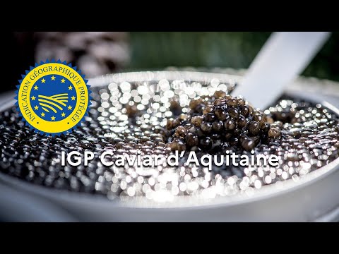 La dénomination &quot;Caviar d&#039;Aquitaine&quot; enregistrée en IGP