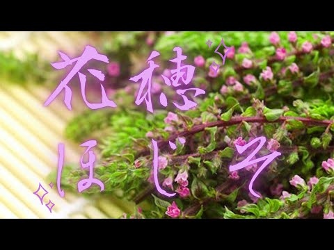 農協映像クリエイターが本気で作るPR “花穂”“ほじそ”