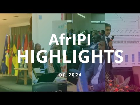 AfrIPI - AWP 2024 Highlights